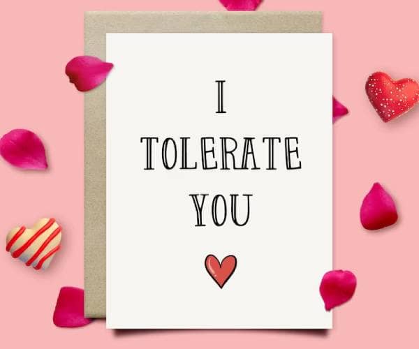 I Tolerate You Rude Valentines Day Card - giftebuy gb gifts (1)