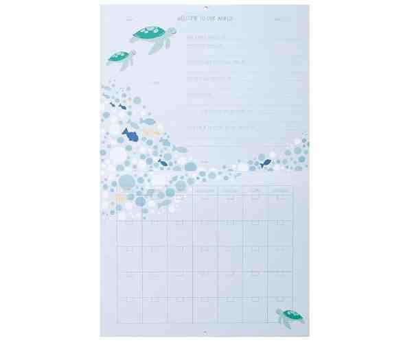 Blue Nautical First Year Baby Calendar2 (1)