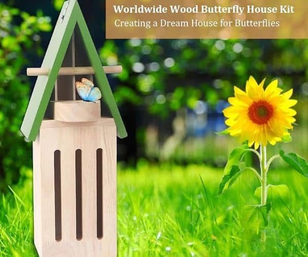 Butterfly House, Wildlife World3 (1) (2)