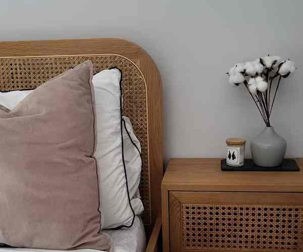 Dried Cotton Stems - 10 Stems Bunch2 (1)