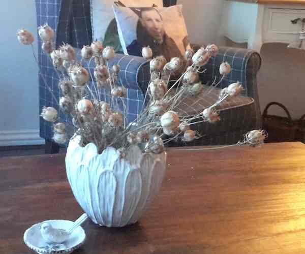 Dried Cotton Stems - 10 Stems Bunch4