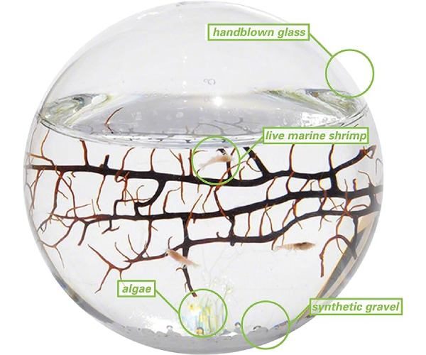 Ecosphere Small Sphere2 (1)