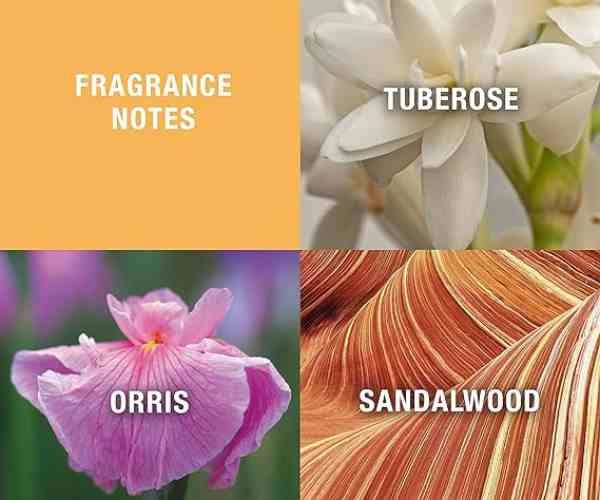 Evyan Perfume Bath Powder3 (1)
