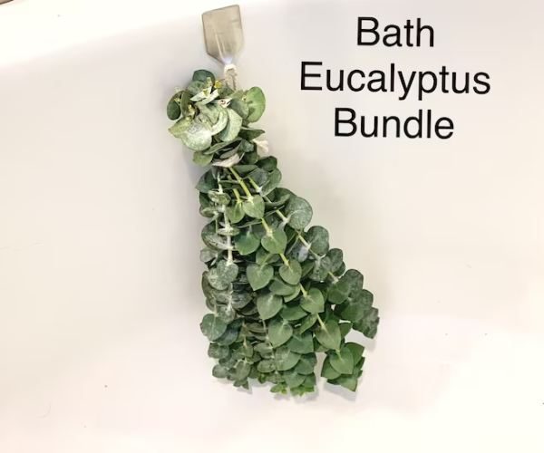Fresh Eucalyptus Shower Bundle Plant4
