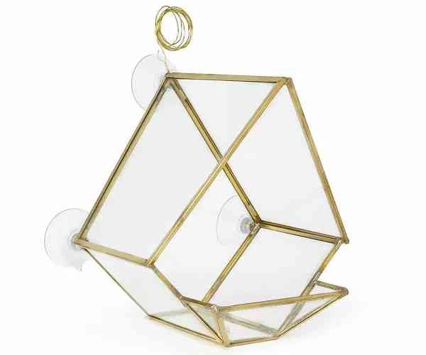 Glass House Bird Feeder2