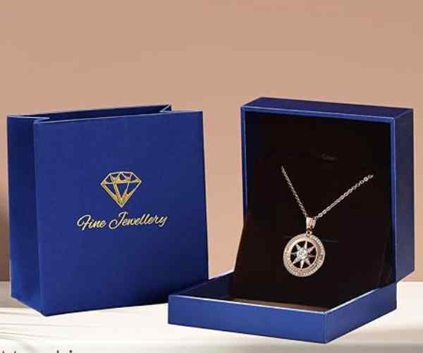 Meeshi Rose Gold Compass Necklace2 (1)