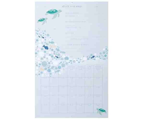 Nautical First Year Baby Calendar2 (1)