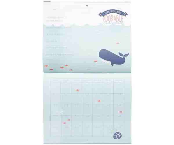 Nautical First Year Baby Calendar3 (1)