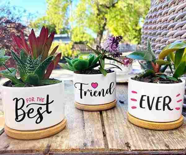 Our Pretty Best Friend Pots2 (1)