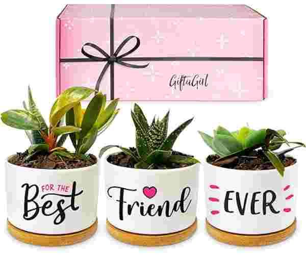 Our Pretty Best Friend Pots3 (1)