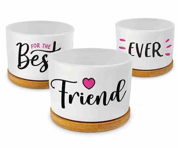 Our Pretty Best Friend Pots4 (1)