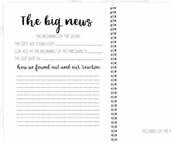 Pregnancy Journal, Diary Baby Book3