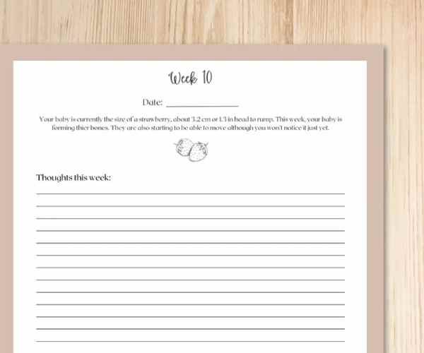 Pregnancy and Birth Journal & Keepsake5