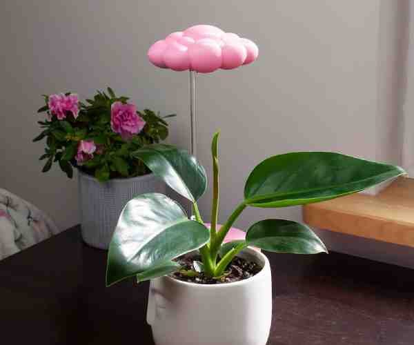 Rain cloud watering system3 (1)