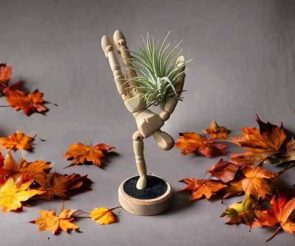 Small House Plant2 (1)