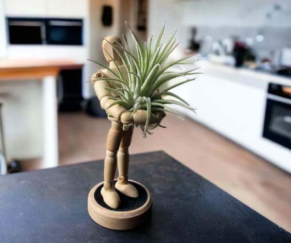 Small House Plant4 (1)