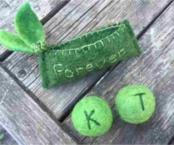 Two peas in a eco wool pod3